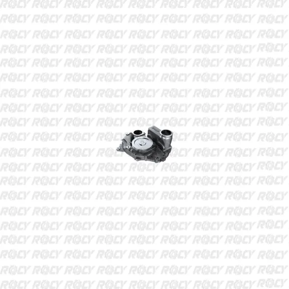 R 01 01-1491